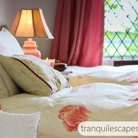 Bed & Breakfast Tranquil Escapes