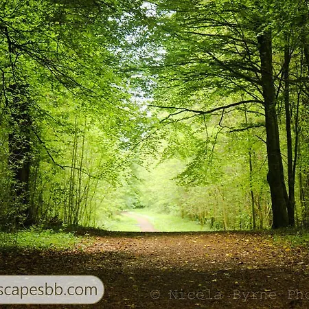 Tranquil Escapes Bed & Breakfast 3*